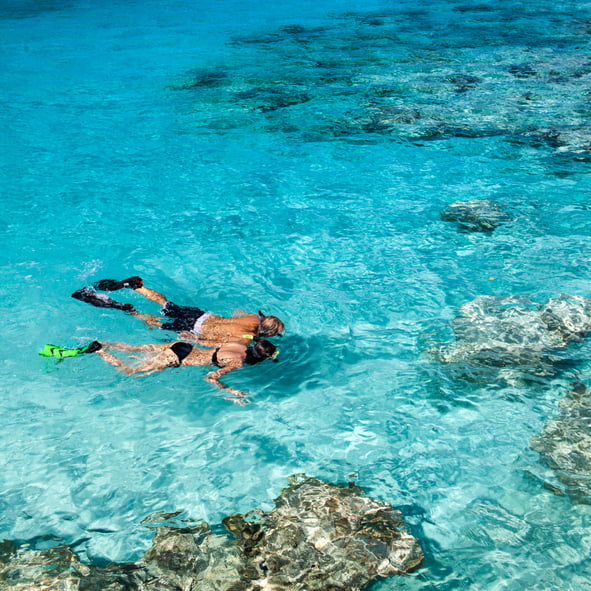 Snorkeling & Diving Excursions